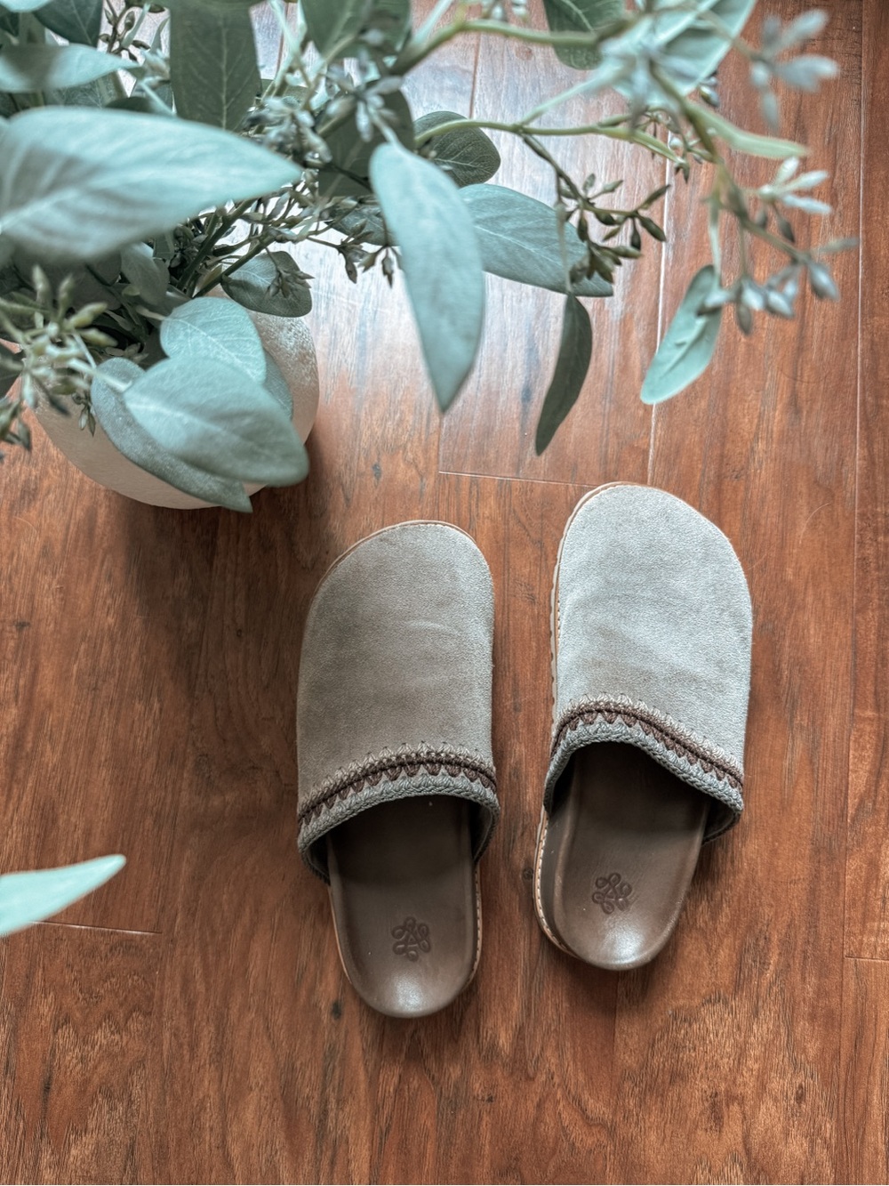 The Sak Suede Bolinas Clog in Mushroom